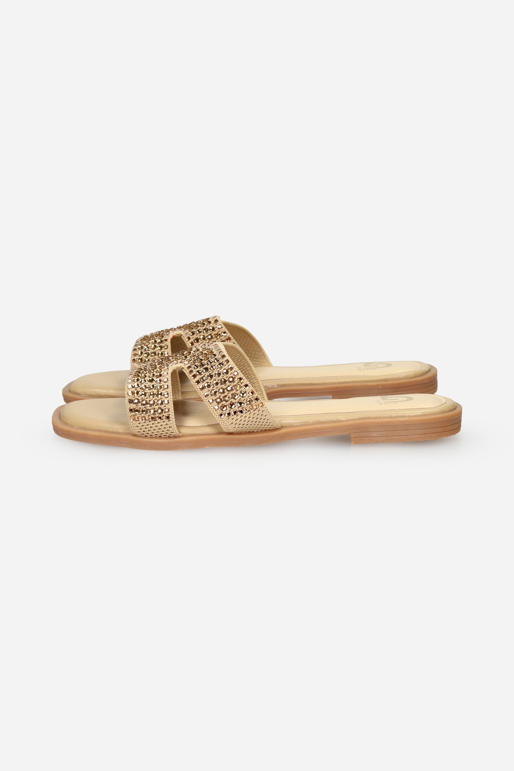 BEIGE | GOLD & GOLD - D FL278 Ciabatta