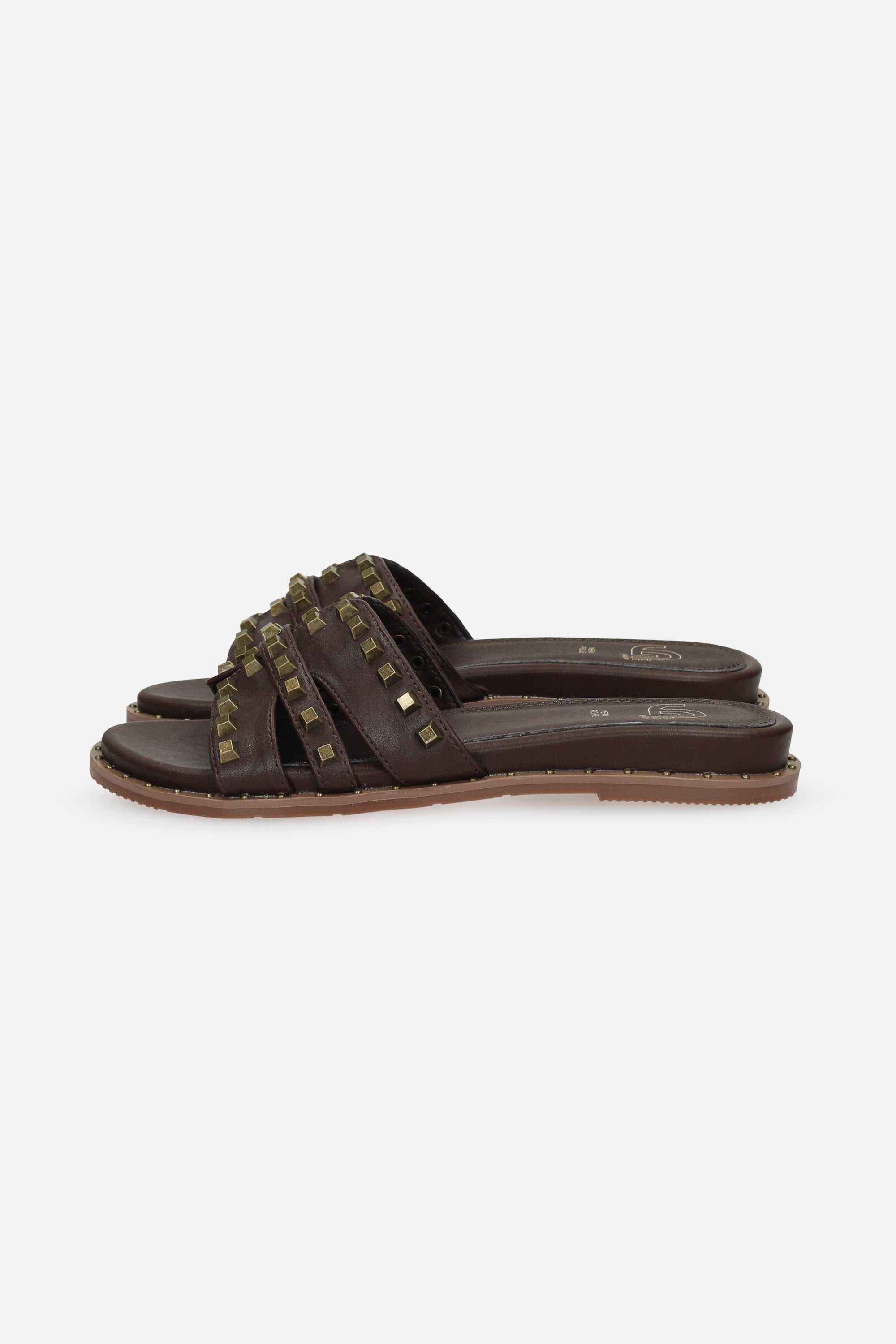 MARRONE | GOLD & GOLD - D GK221 Ciabatta