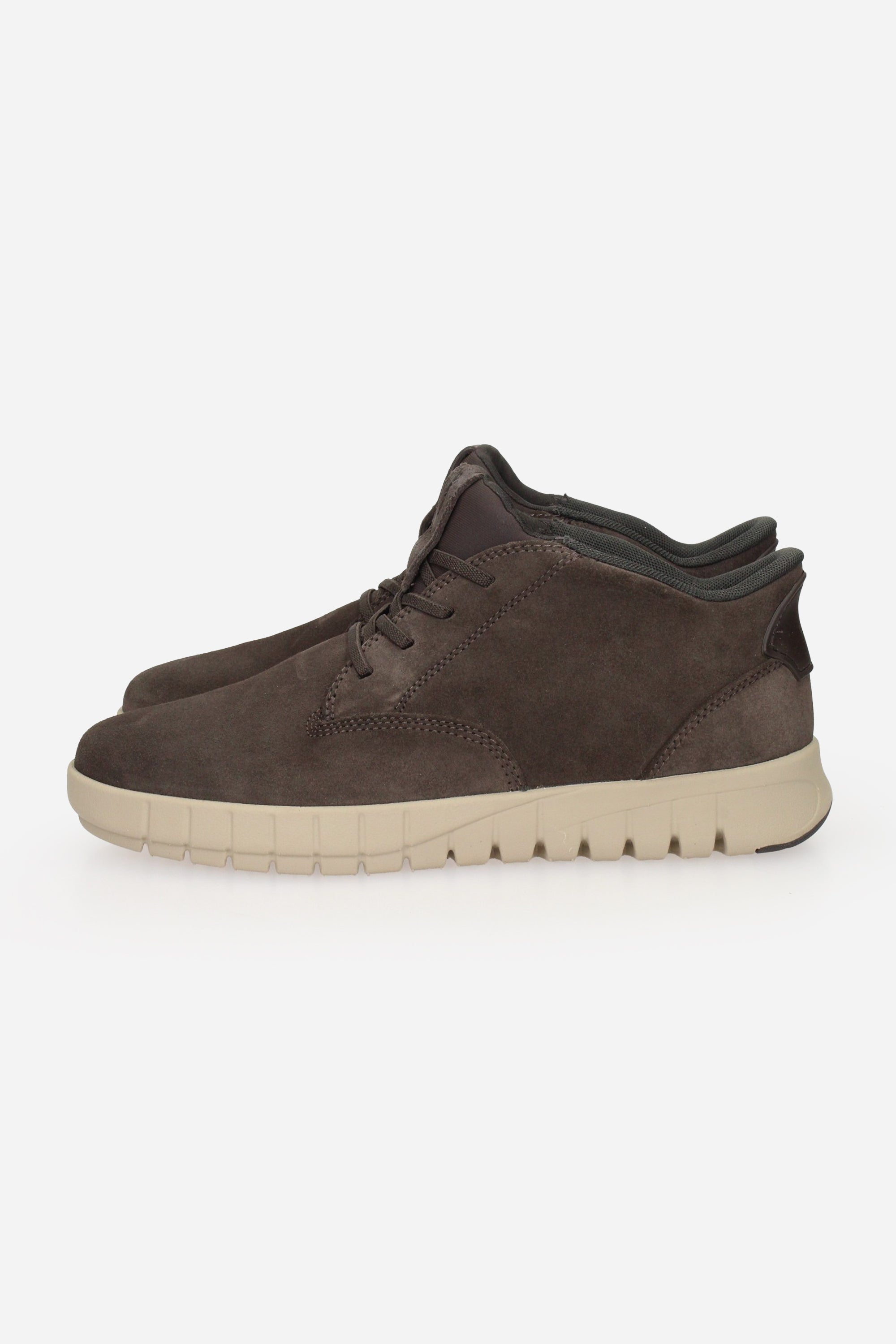 MARRONE | GEOX - U U56MAB00022 Polacco