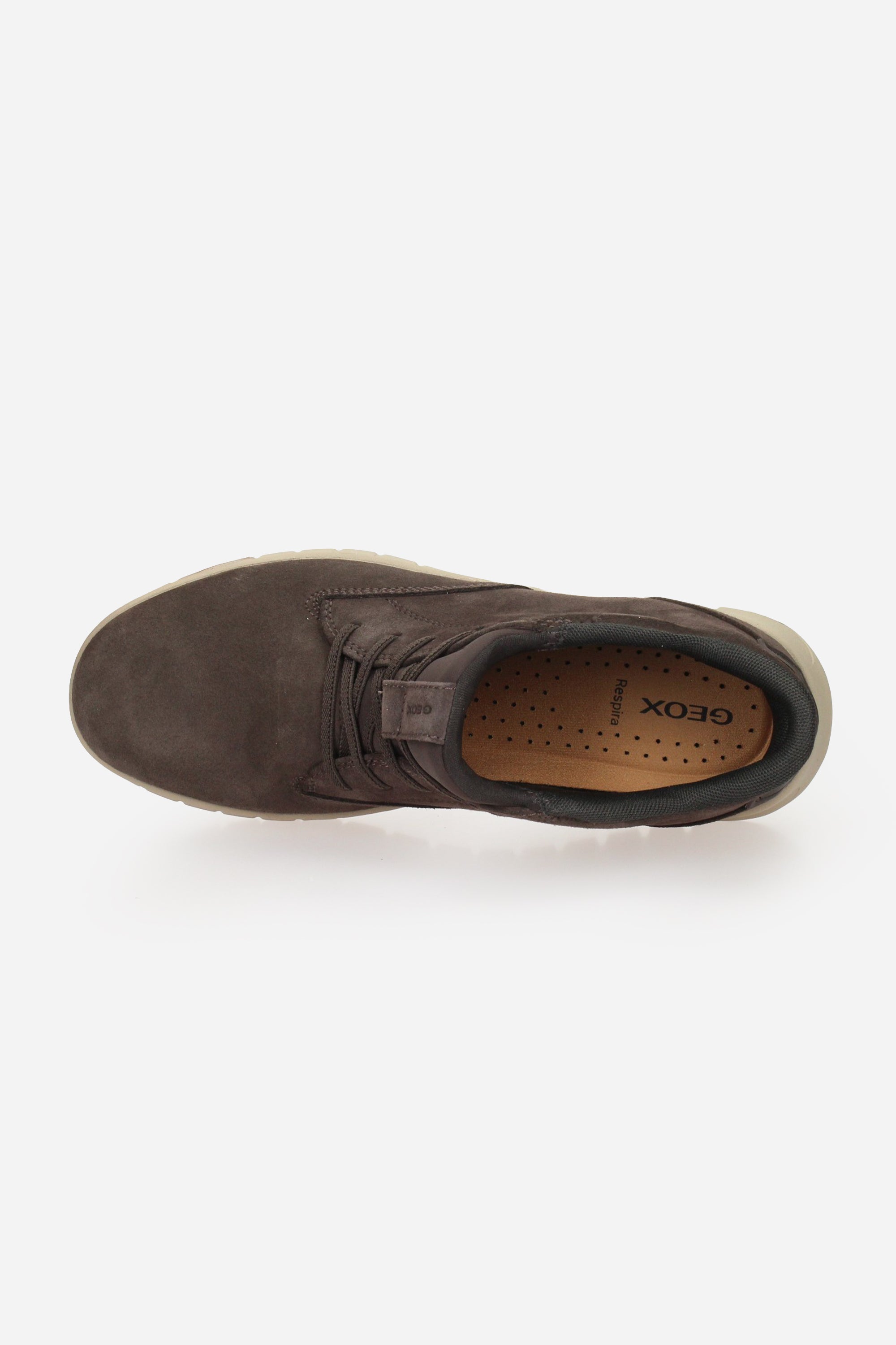 MARRONE | GEOX - U U56MAB00022 Polacco