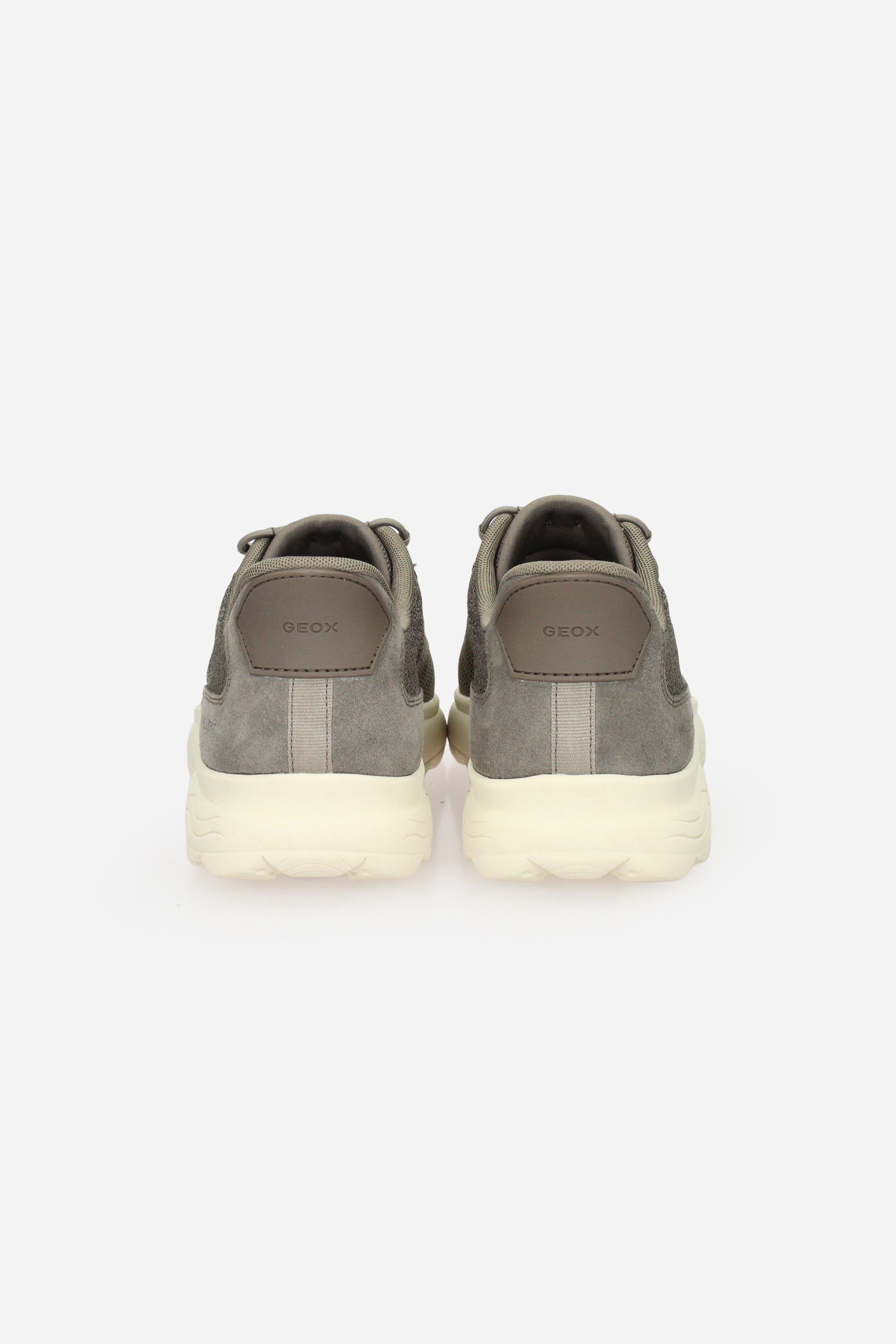 TORTORA | GEOX - U U66PDA0ZG22 Sneakers