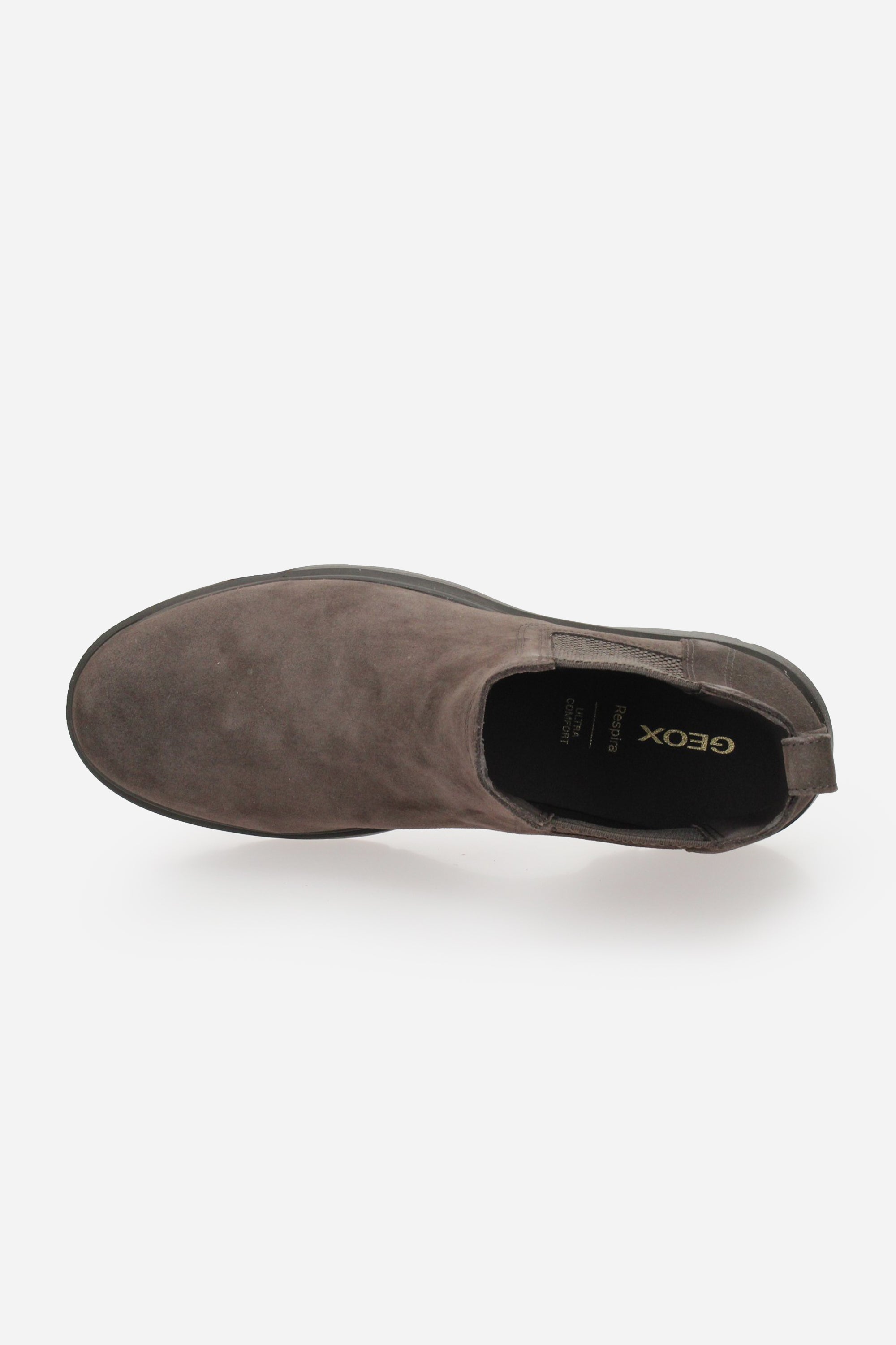 MARRONE | GEOX - U U66CJA00022 Beatles