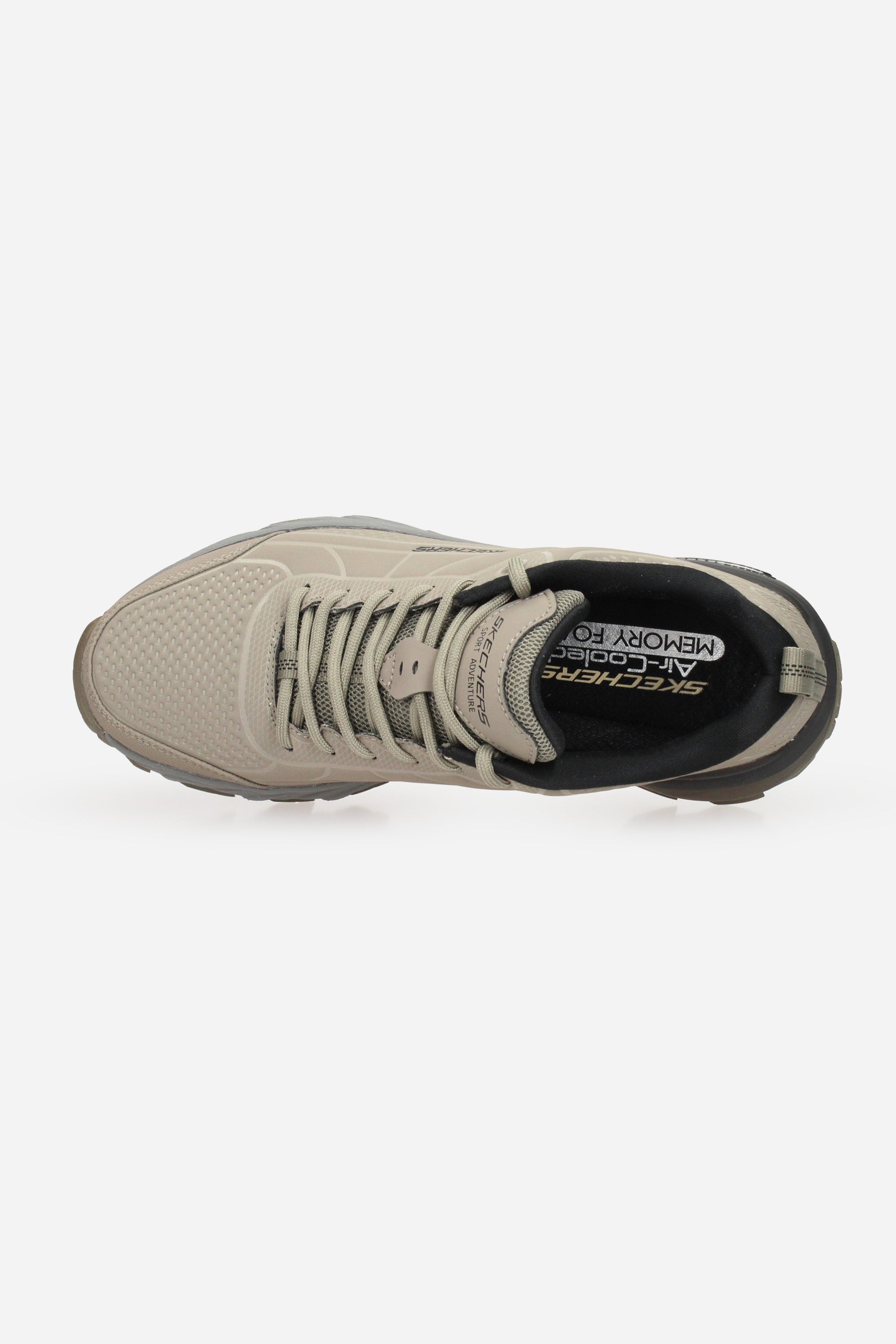 TORTORA | SKECHERS - U 237672 Sneakers