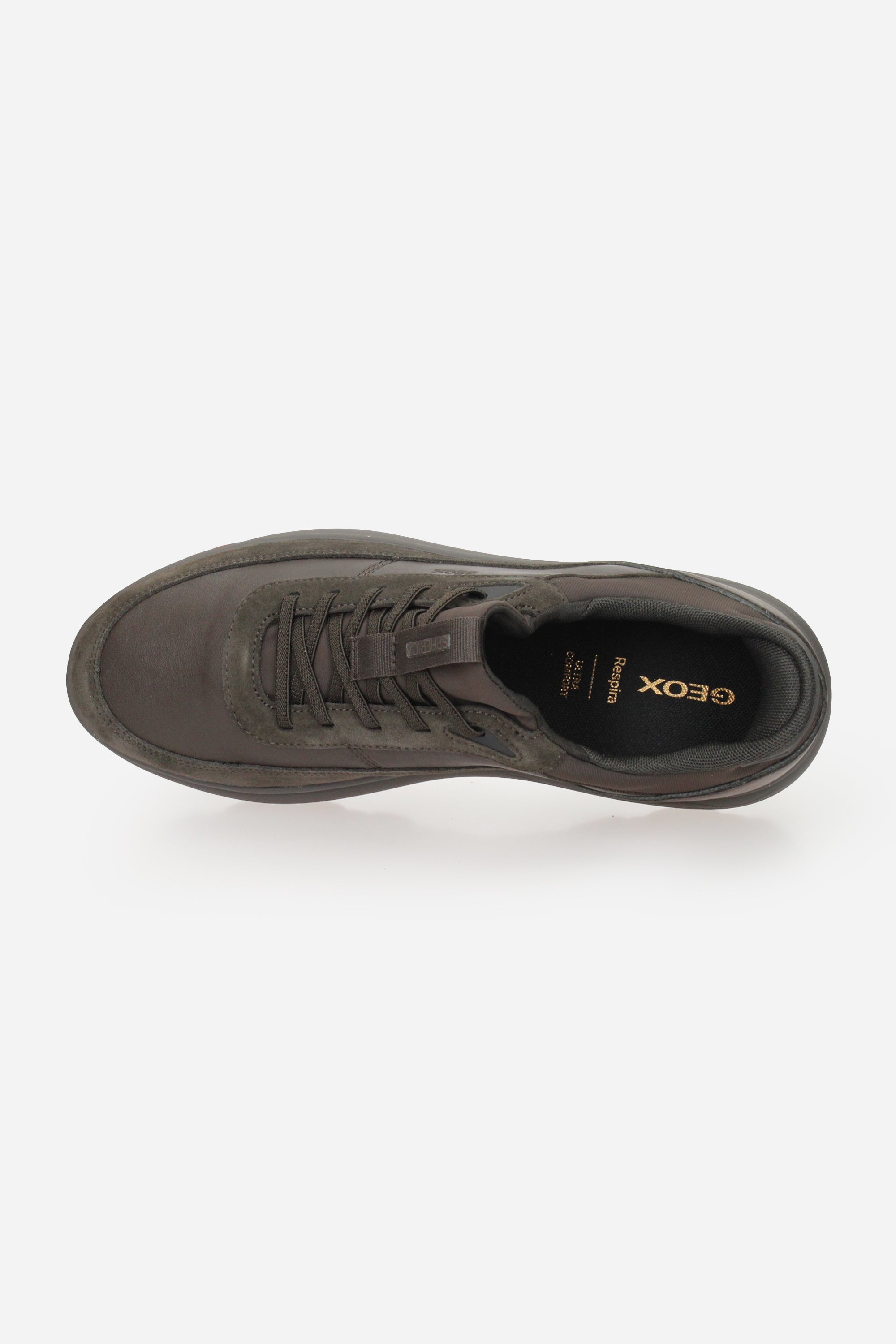 MARRONE | GEOX - U U56MPA08522 Sneakers