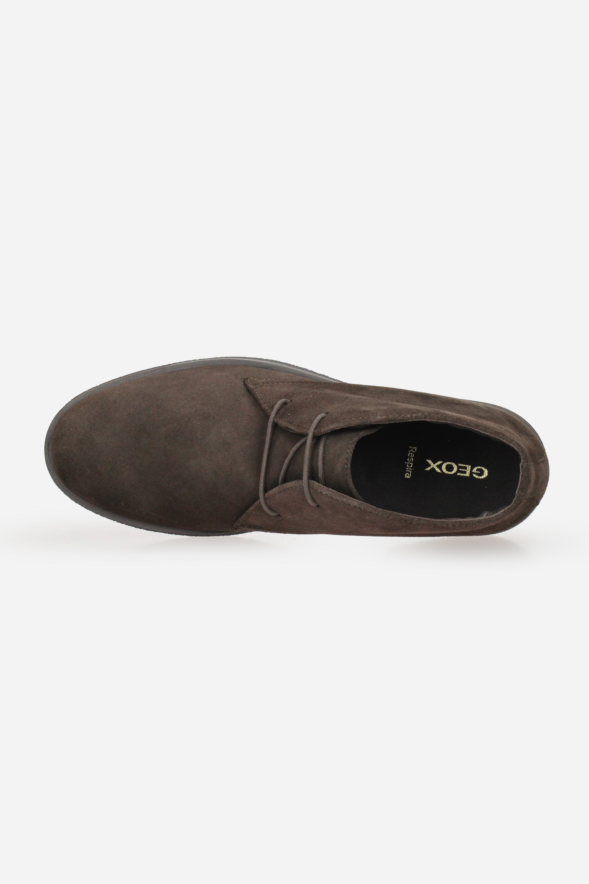 MARRONE | GEOX - U U6658D00022 Polacco