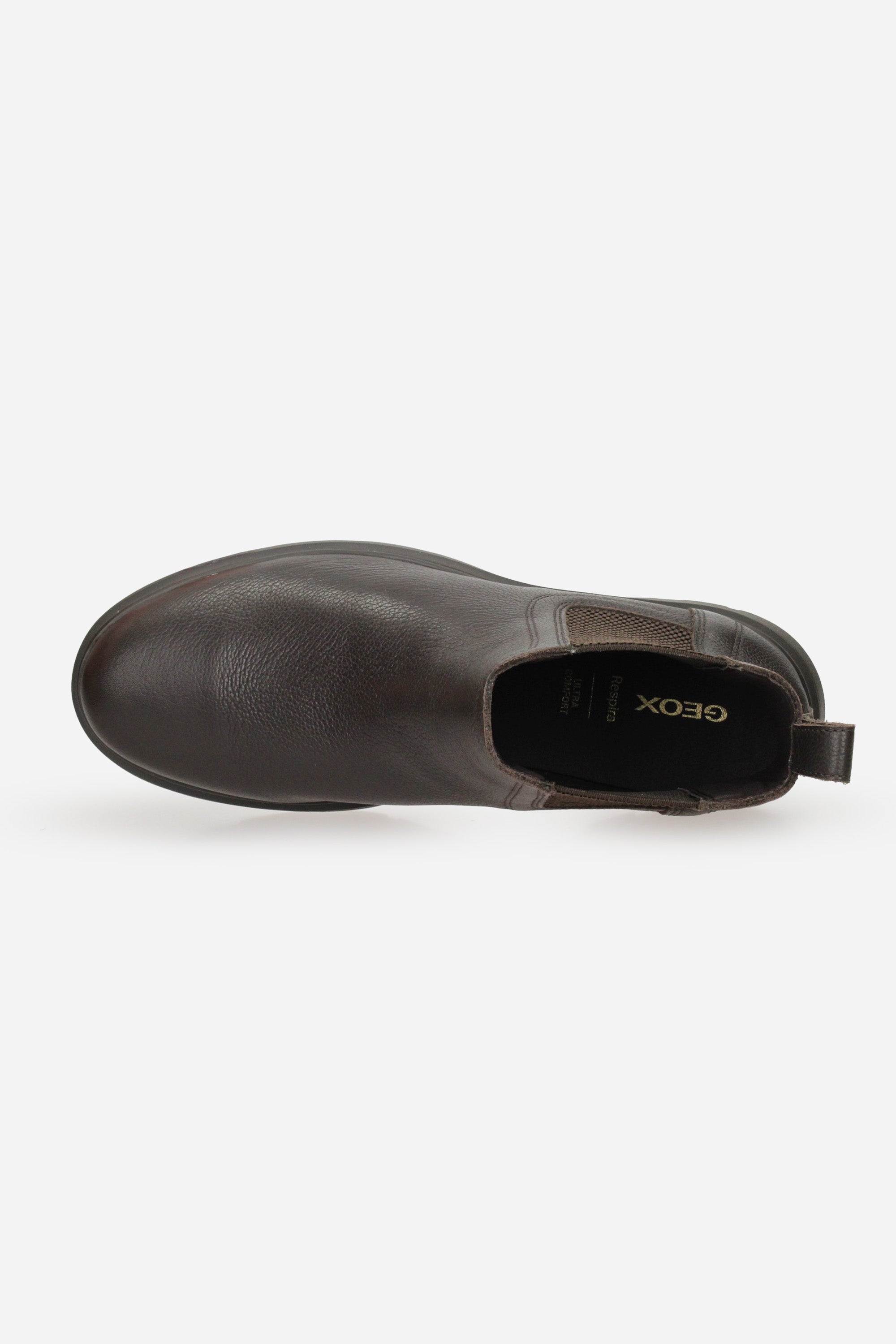 MARRONE | GEOX - U U66CJA00047 Beatles