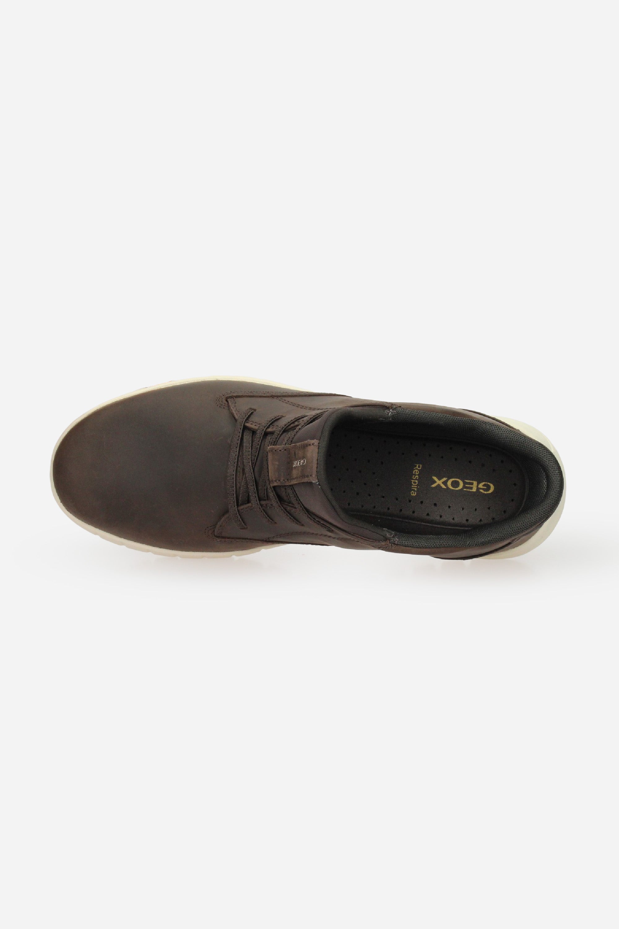 MARRONE | GEOX - U U56MAB000FF Polacco