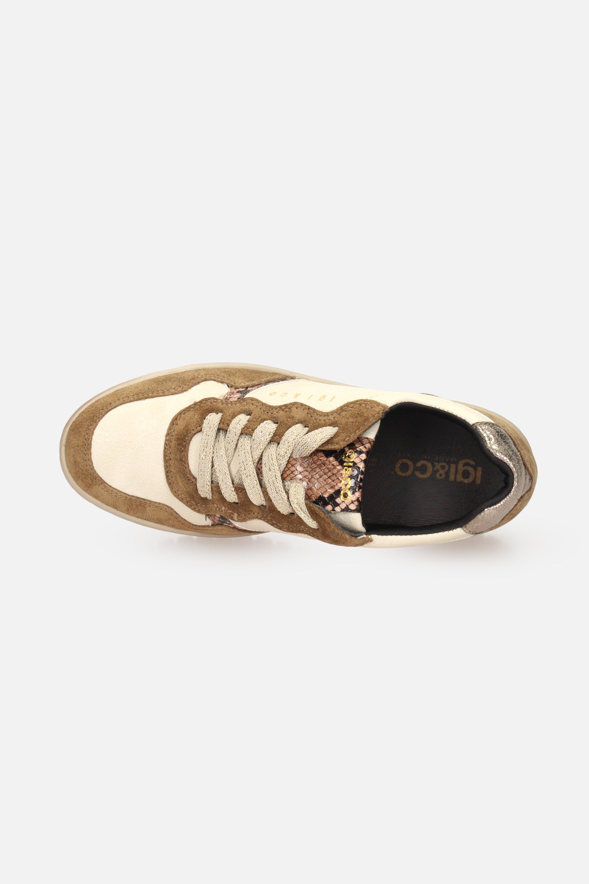 MARRONE | IGI & CO - D 2168711 Sneakers