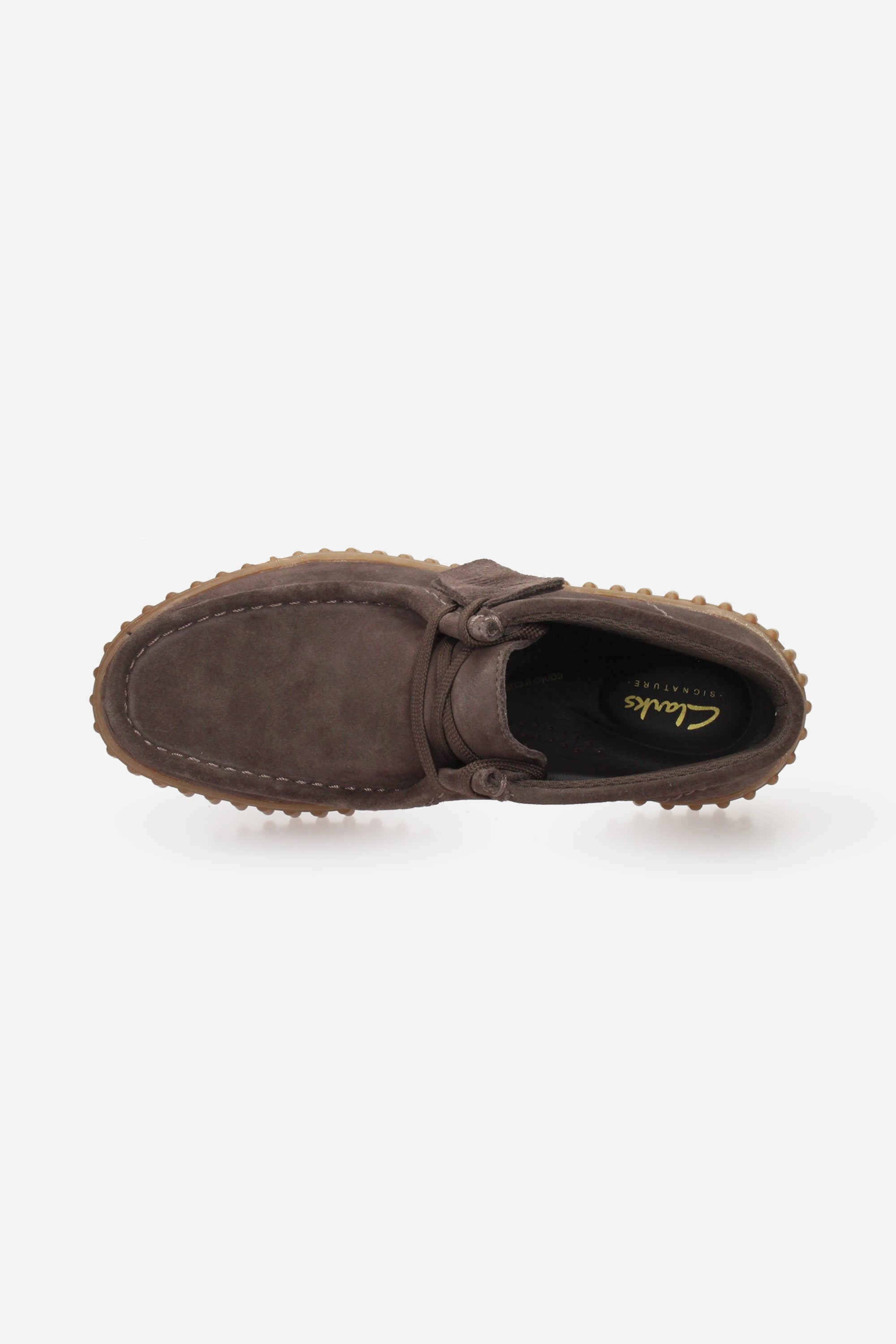 MARRONE | CLARKS - D 26185345 Polacco