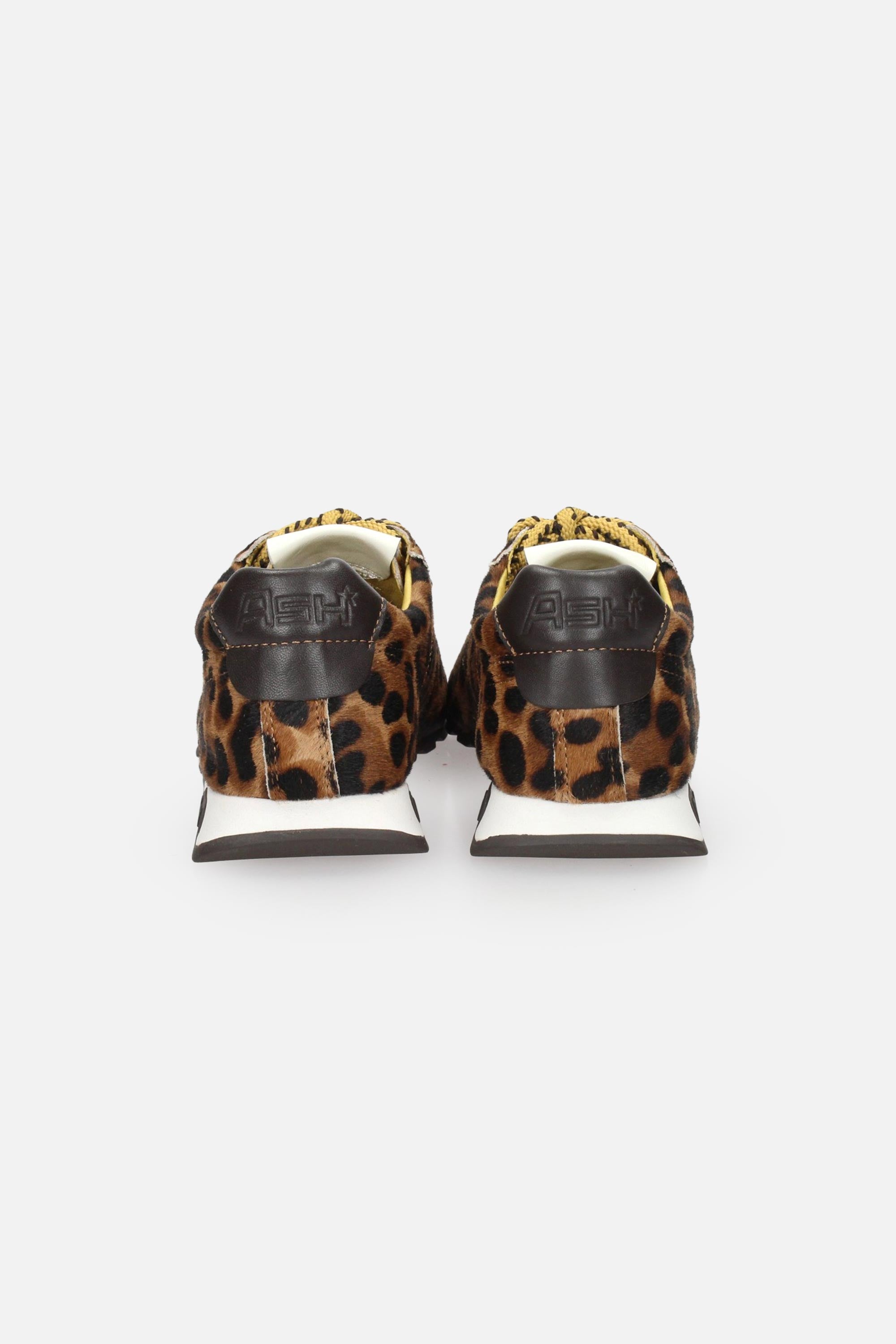 MACULATO | ASH - D KILLBILL07 Sneakers